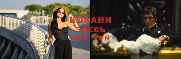 дживик Алексин