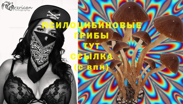 гидропоника Алексеевка