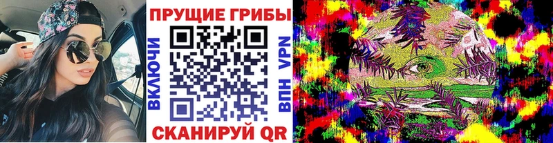 Галлюциногенные грибы Psilocybine cubensis  хочу наркоту  ОМГ ОМГ рабочий сайт  Дмитров 