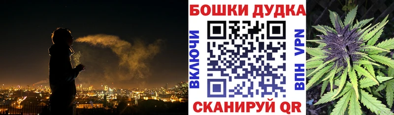 Бошки Шишки план  Дмитров 